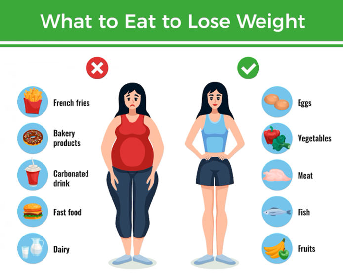 What to eat to Lose Weight
