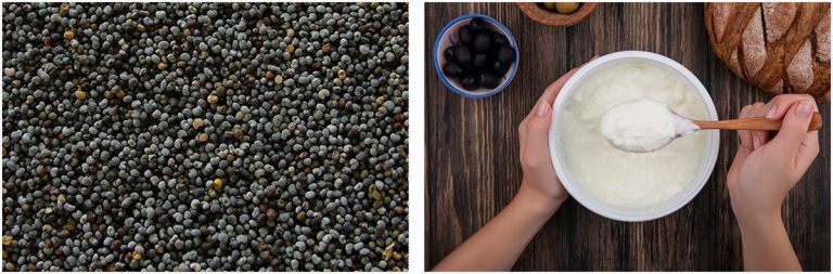 Poppy seeds and curd